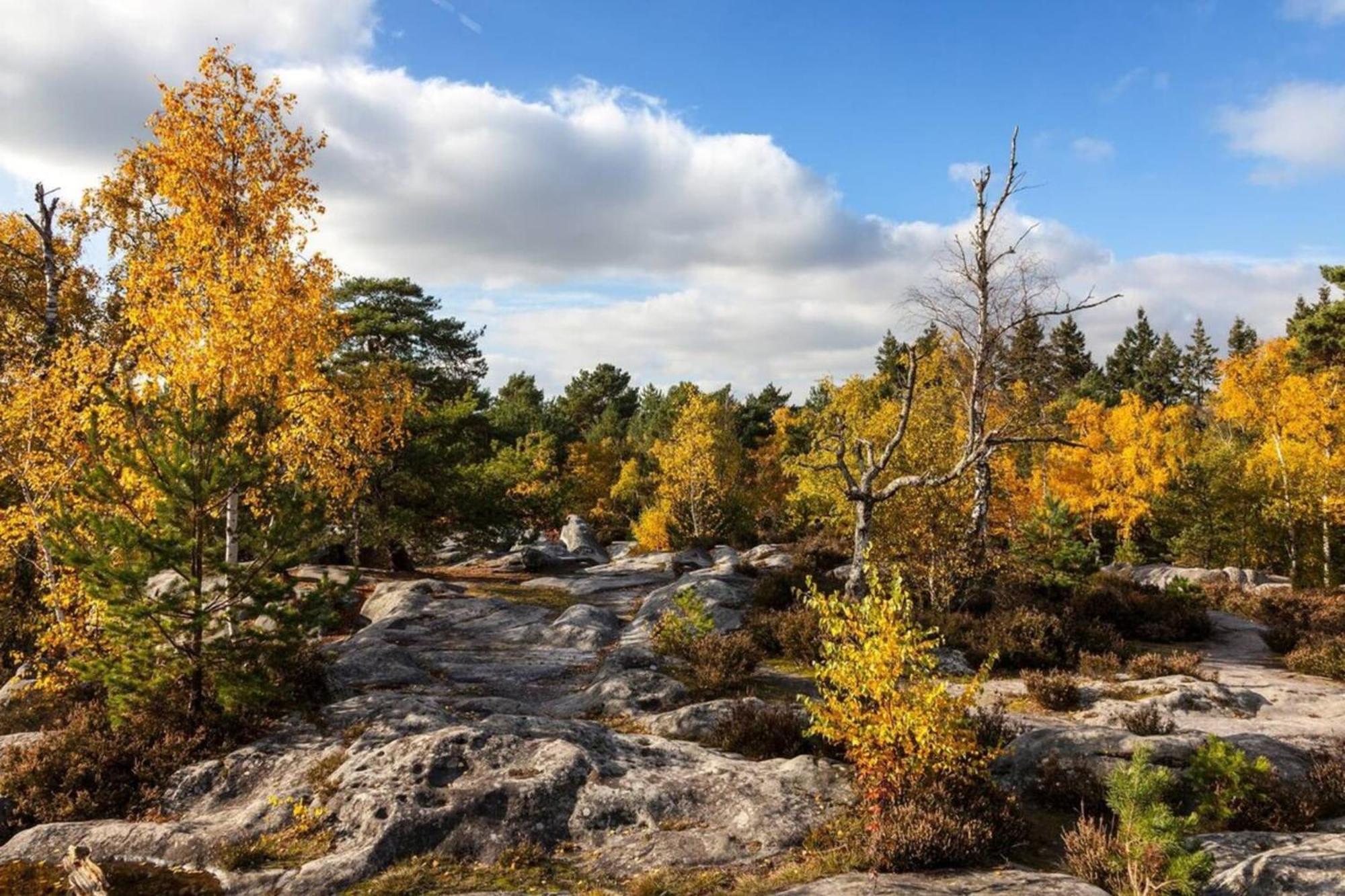 Fontainebleau Rue Grande - Chez Alexis Daire Dış mekan fotoğraf